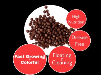 Premium Fresh Feed For FLOWERHORN - Fish Food 100 Gram